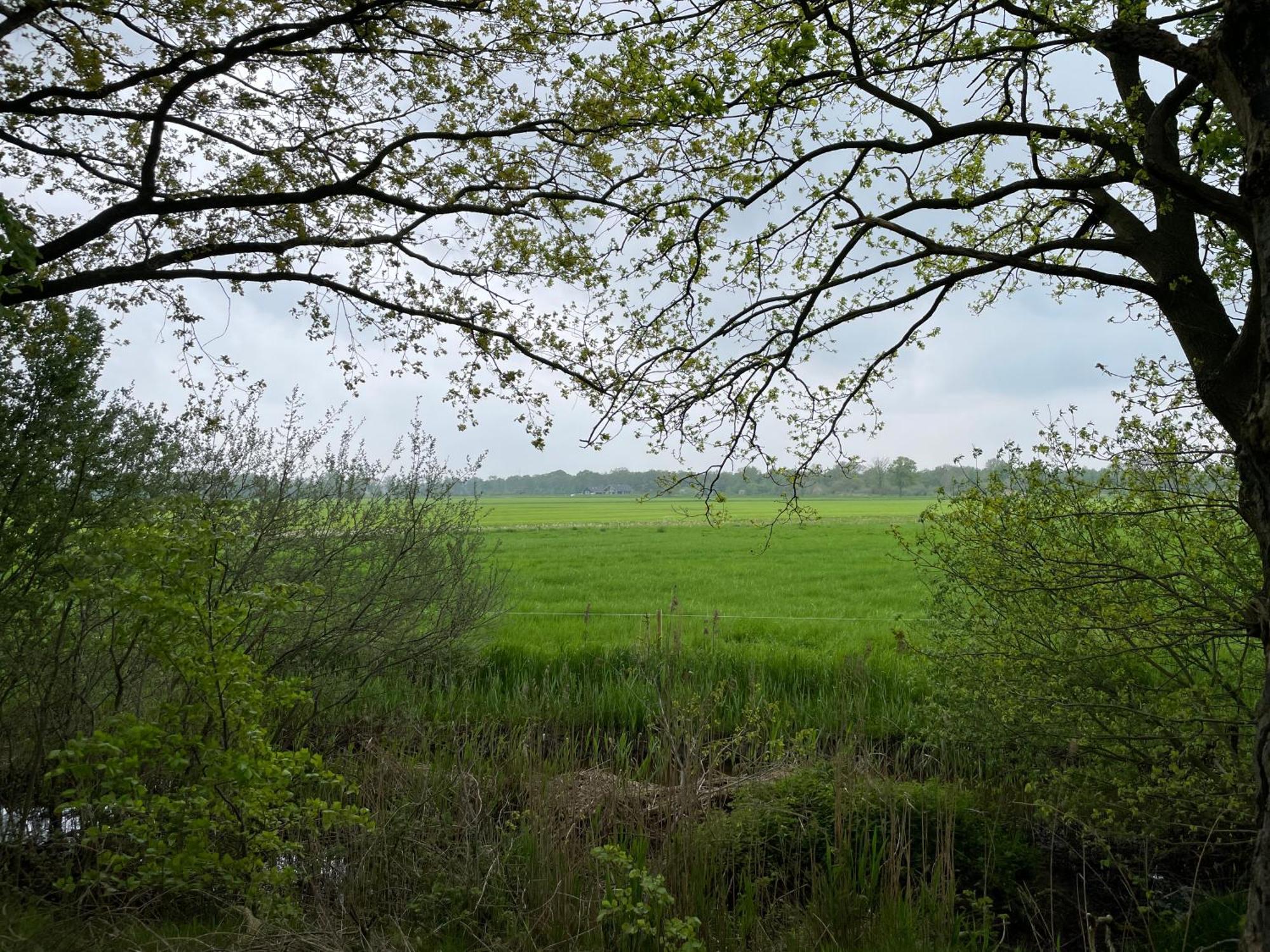 Het Riethuis Holthone Zewnętrze zdjęcie
